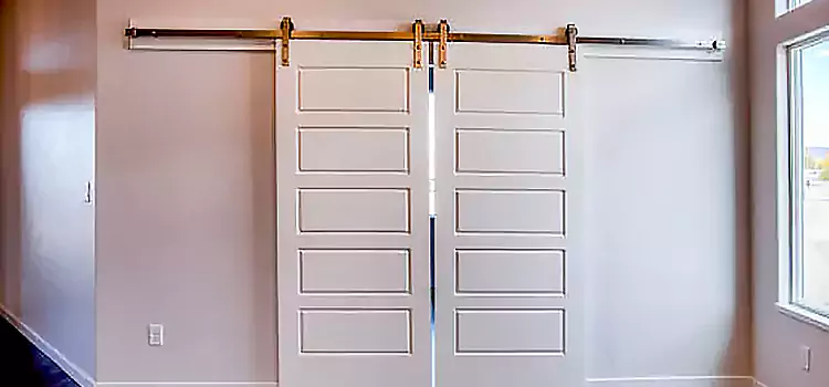Glass Barn Door with Installation Hardware Kit Cleveland Heights