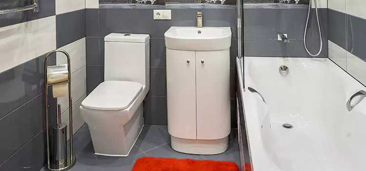 Hansgrohe Shaving Mirror Cleveland Heights
